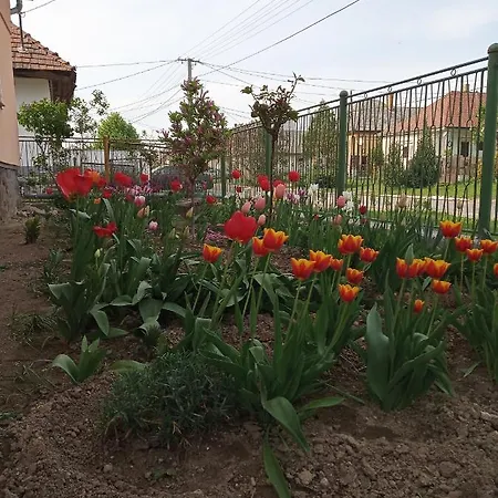 Pensiune Sprencz Csaladi Major *