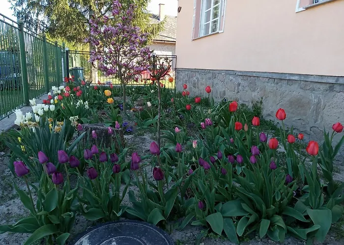 Pensiune Sprencz Csaladi Major Sátoraljaújhely