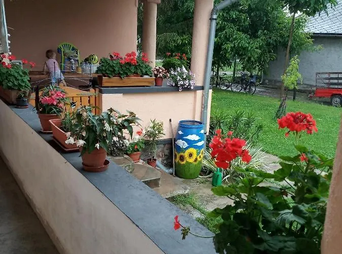Sprencz Csaladi Major Pensiune *